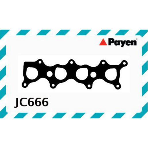 Payen Manifold Gasket JC666