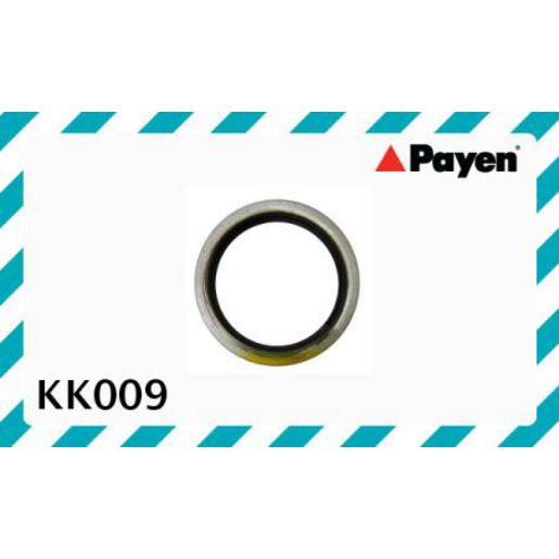 Payen Exhaust Flange Gasket KK009