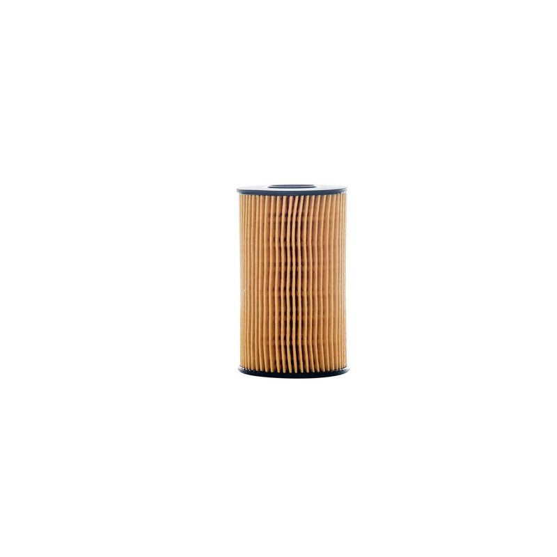 Donaldson Oil Filter P505988