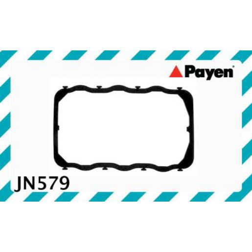 Payen Valve Cover Gasket JN579