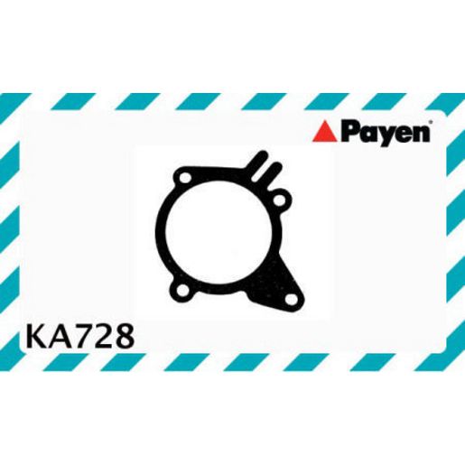 Payen Water Pump Gasket KA728