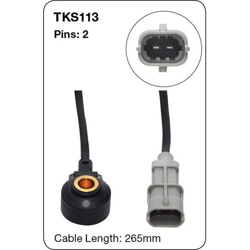 Tridon Knock Sensor TKS113