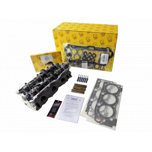Kiwi Complete Cylinder Head 11081241