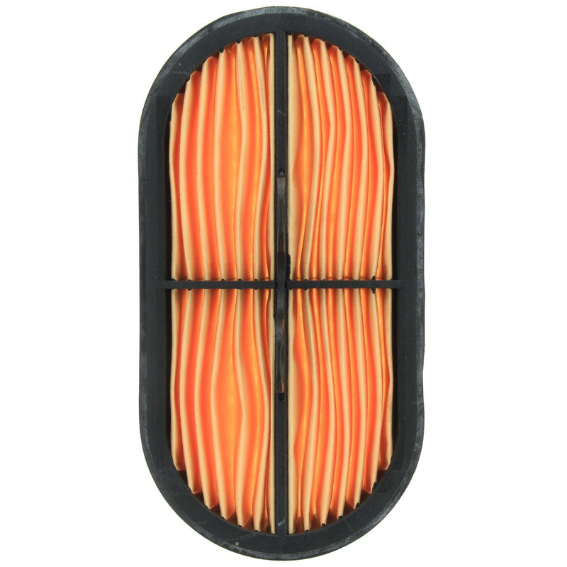 Donaldson Air Filter P600975