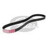Gates Micro-V Belt 6PK1005