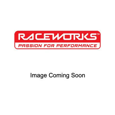 Raceworks ALY-232BK 2.5L Surge Tank Kit Black Suit Twin