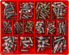 Champion Fasteners Metric Button Head Screws Torx Z/P