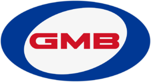 GMB Water Pump OE Fit OE Performance 2 Year Warranty