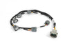 Haltech R35 Coil Bracket Kit for Nissan RB Includes