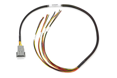 Haltech Elite 1500 Mazda 13B S4/5 CAS with Flying Lead