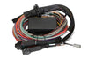 Haltech Elite 1500 + Premium Universal Wire-in Harness