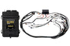 Haltech Elite 2500 + Ford Falcon BA/BF Barra Terminated