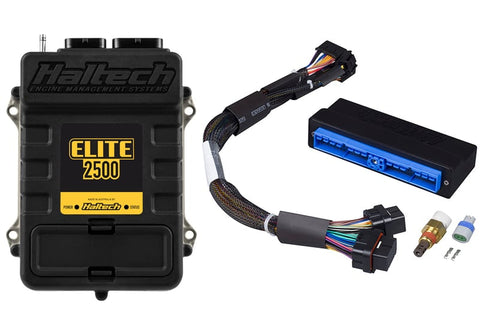 Haltech lite 2500 + Nissan Patrol Y60 (TB42) Plug 'n'