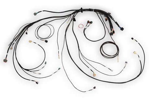 Haltech Nexus Rebel LS Terminated Harness for Nexus Rebel