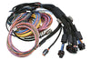 Haltech Nexus R5 + Universal Wire-in Harness Kit - 2.5M