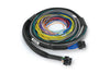 Haltech Nexus S2 ECU + Universal Wire-in Harness - 2.5m