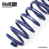 H&R Sport Springs fits BMW 320i/320i/340i/428i/435i