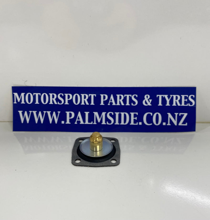 DGAS DGAV TLM DFE DFT Models Weber Carburetor Pump Diaphragm