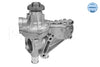 Meyle Water Pump 113 012 0008