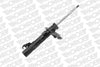 Monroe Suspension Strut - Oe Spectrum 742061SP