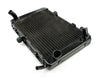 Suzuki GSR400 GSR600 2006-2016 Black Generic Radiator Grille Guard Cooler