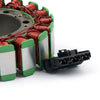 Aprilia RSV1000 Tuono (06-09) Carponord ABS RSV1000R FACTORY Generic Stator Coil