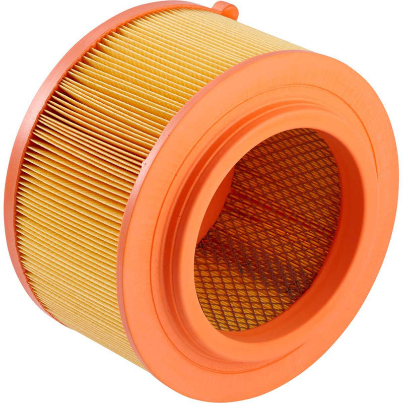 Ryco A1784