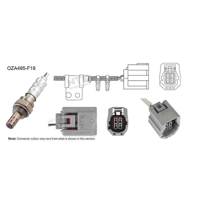 Ntk OZA495-F19