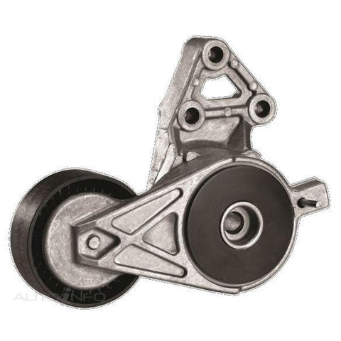 Dayco APV2241