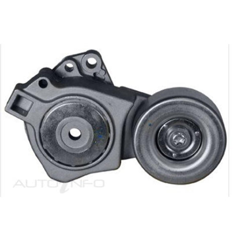 Dayco 89667
