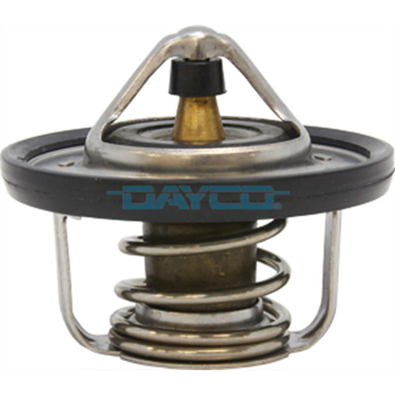 Dayco DT191A
