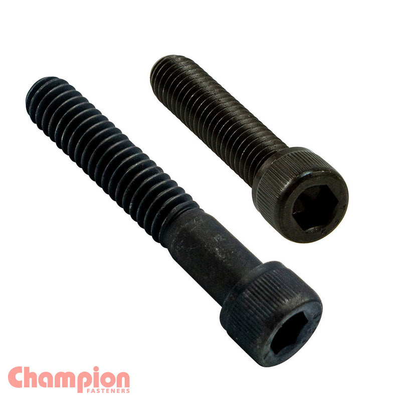 Champion Fasteners Socket Head Cap Screw M3 X 20mm Grade
