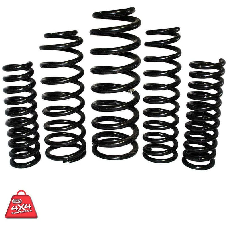 EFS SUZ-116E Coil Springs Rear (Grand Vitara 05-18)