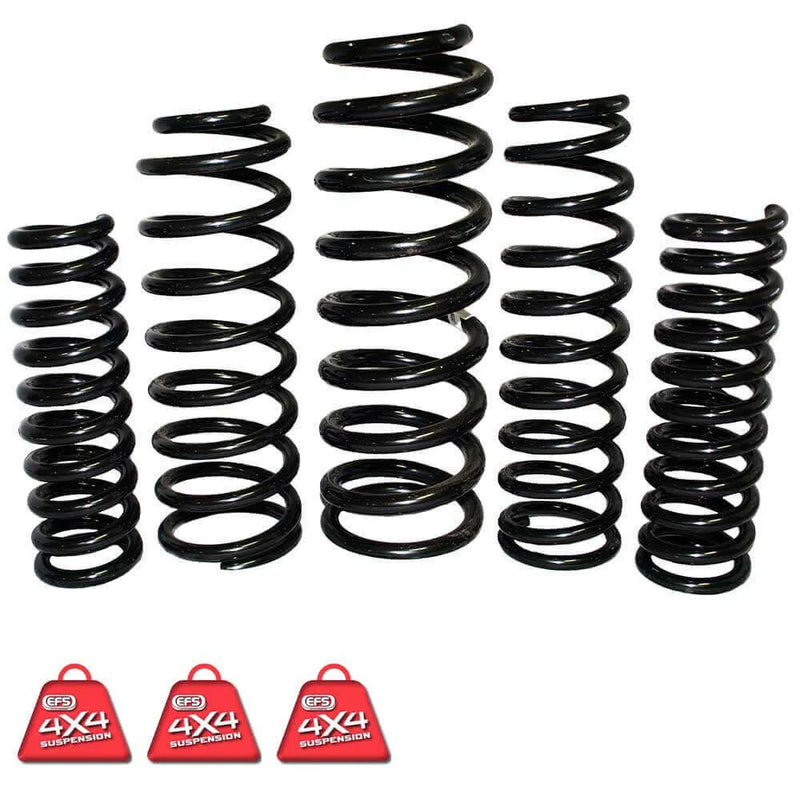 EFS TLC-113HL3E Coil Springs Rear