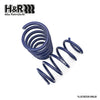 H&R Sport Springs fits BMW 320i/320i/340i/428i/435i