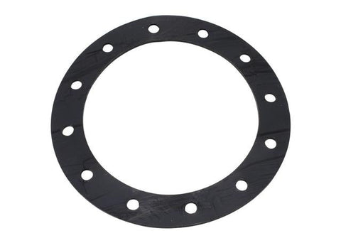 Aeroflow Fuel Cell Ptfe Teflon Gasket