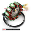 Hyosung GV250 GT250R GT250 2006-2011 Alternator United Motors Stator Coil