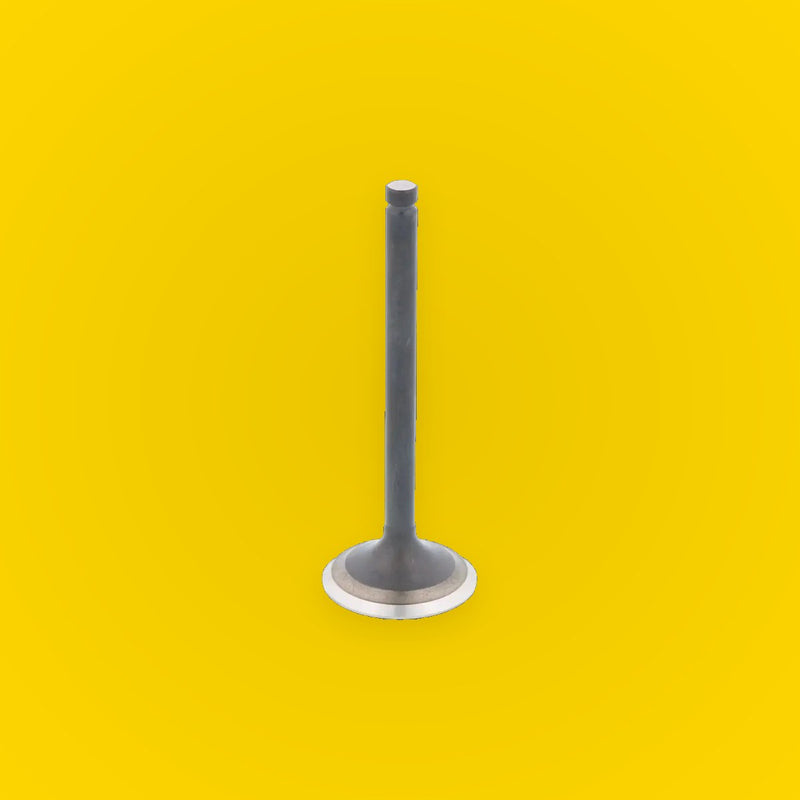 Bronco Engine Exhaust Valve for Suzuki Ozark 250 (2002–2014)