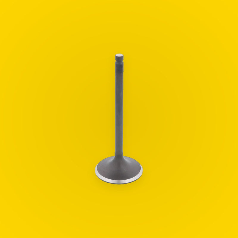 Bronco Engine Intake Valve for Suzuki King Quad 300 4x4 (1991–2002)