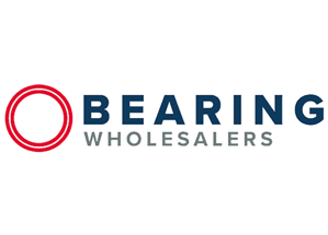 BWS Ball Bearing Steel 5/16in. 5/16SB