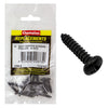 Champion Black Screw Self Tapp Panhead Phillips 5.5 x