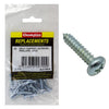 Champion Screw Self Tapp Panhead Phillips 4.8 x 25mm 25Pk