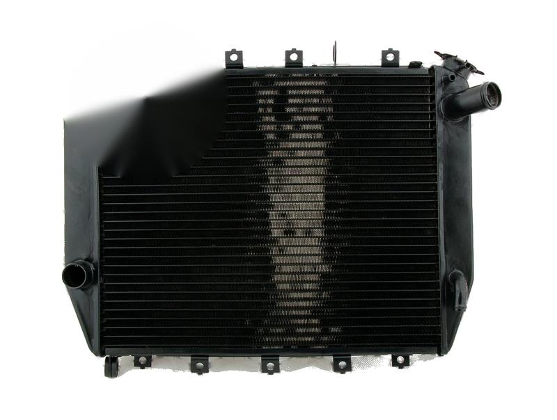 Kawasaki ZX12R ZX 12R 2000-2005 Black Generic Radiator Grille Guard Cooler