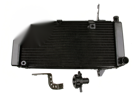 Suzuki SV1000 2003-2008 Black Generic Radiator Grille Guard Cooler
