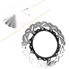 BMW S1000R, S1000RR Black Front Brake Disc Rotors (2010-2015)