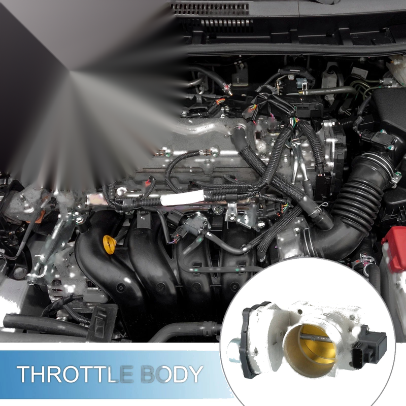 Ford Crown Victoria 4.6L Throttle Body Actuator (2005-2011)