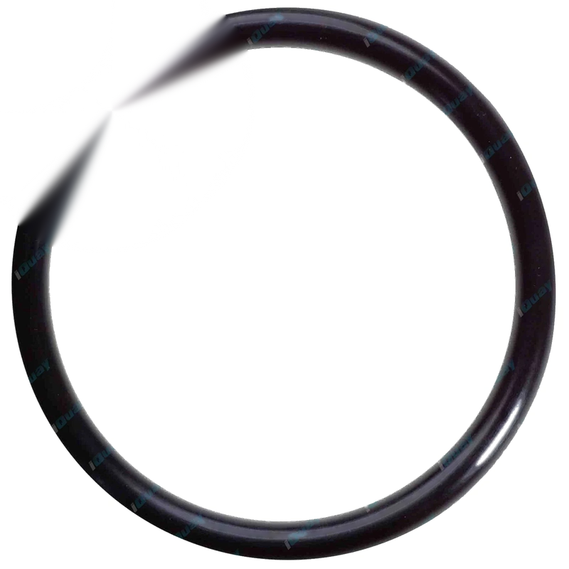 Toyota Water Pump Housing Rear Rubber O-Ring (2000-2023)