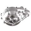 Kawasaki Z750 Engine Stator Cover (2003-2006)