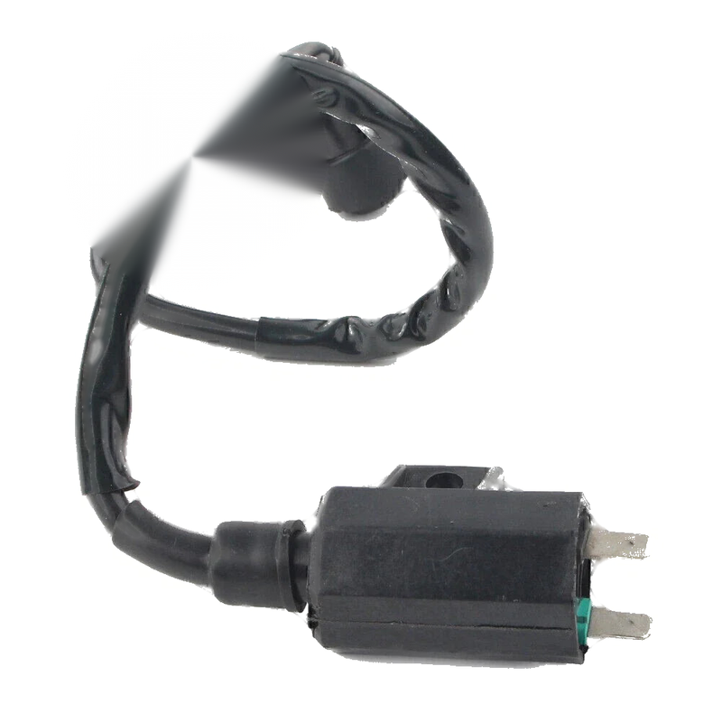 Kawasaki Brute Force Bayou 220 250 400 650 750 Motorbike Ignition Coil Set