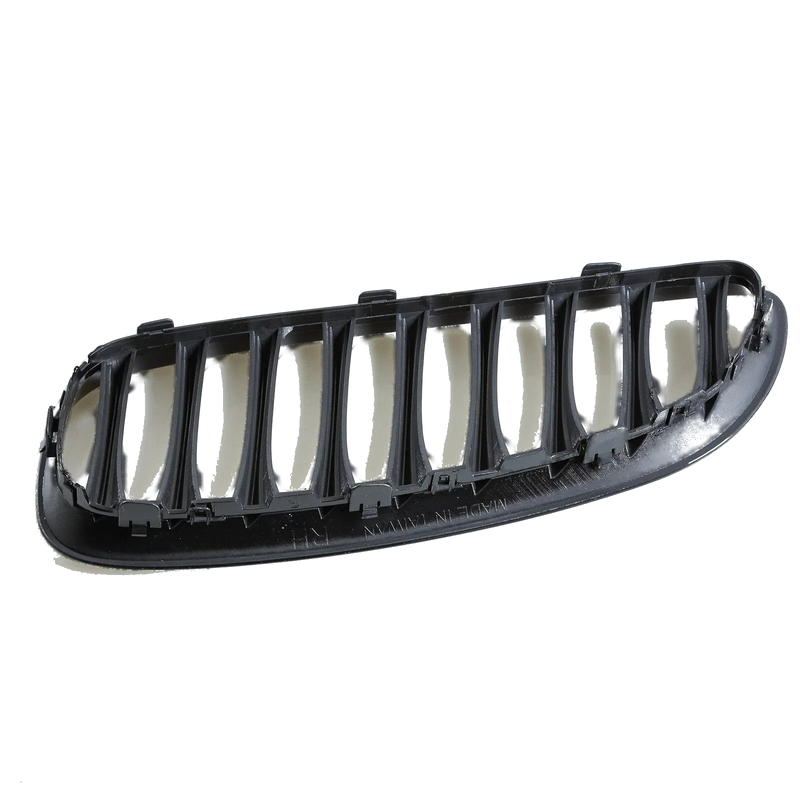 BMW Z4 E89 Front Bumper Grille (2008-2016)